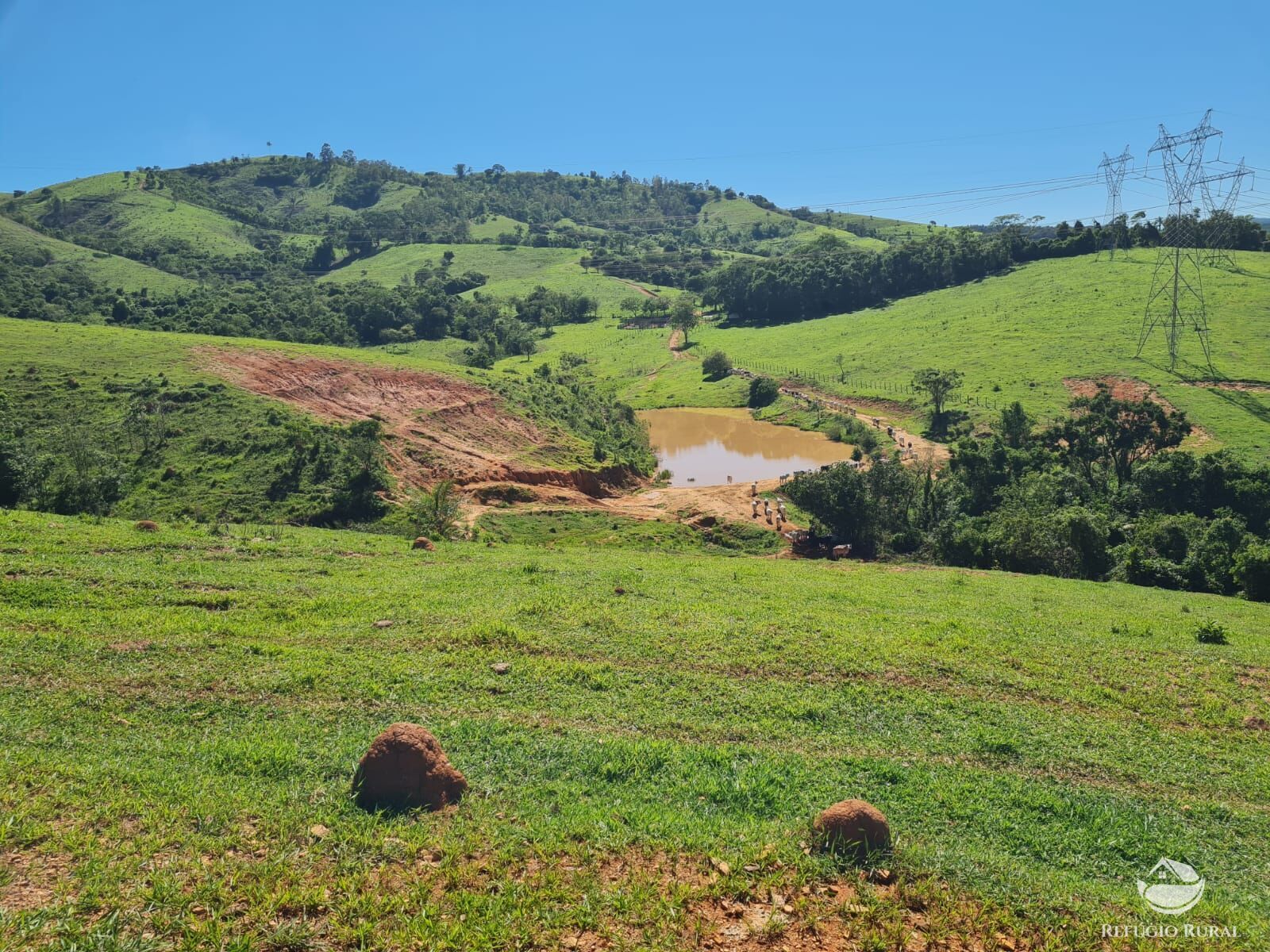 Fazenda, 822 hectares - Foto 3