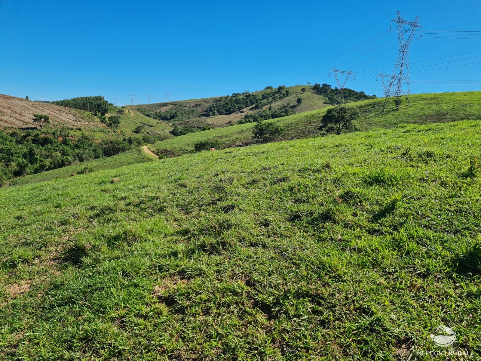 Fazenda, 822 hectares - Foto 28