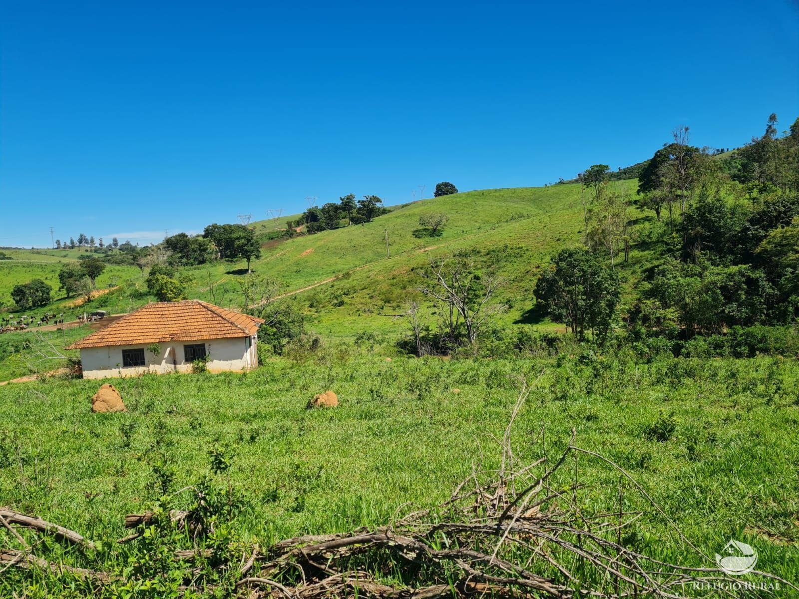 Fazenda, 822 hectares - Foto 2