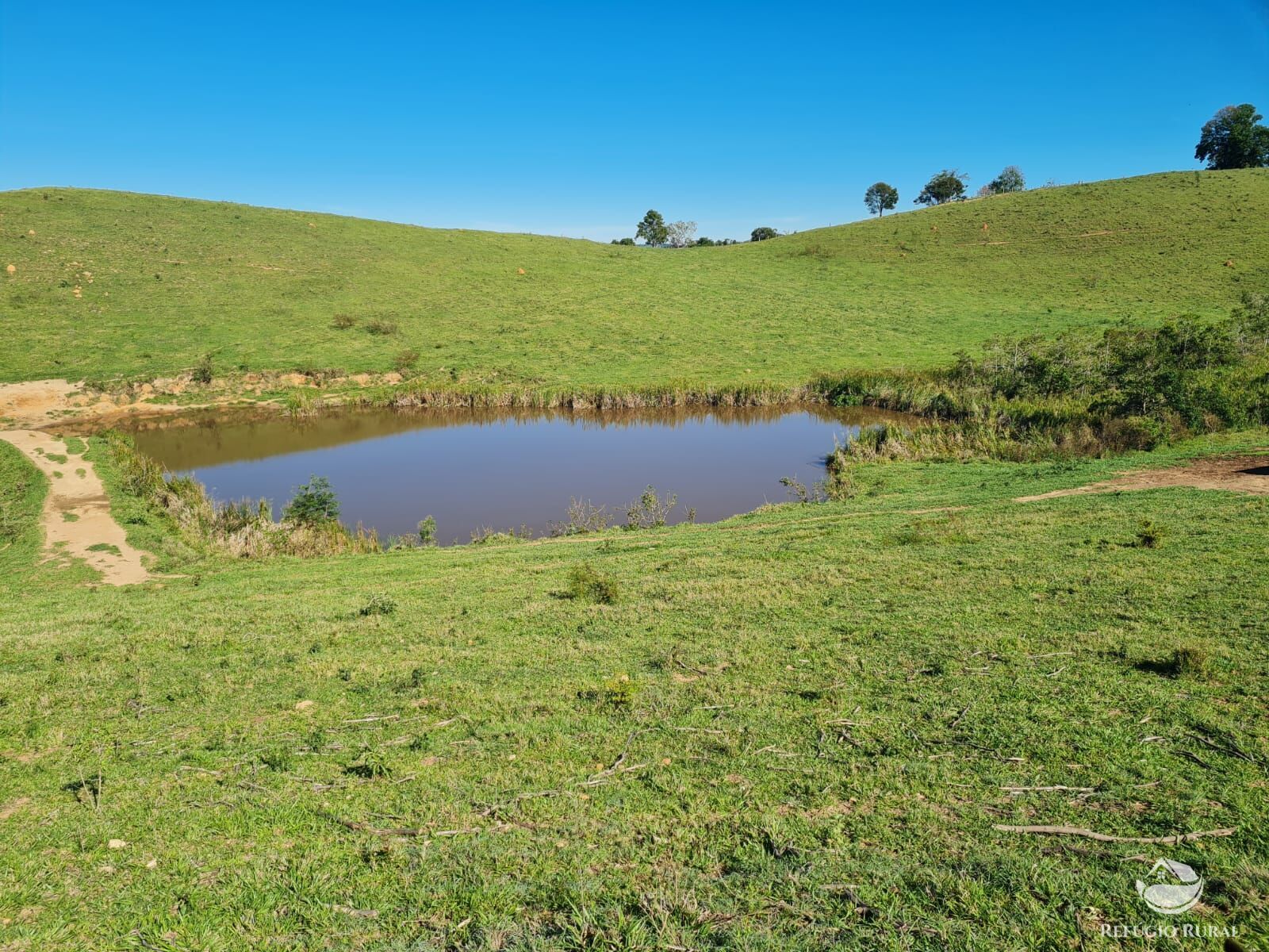 Fazenda, 822 hectares - Foto 14