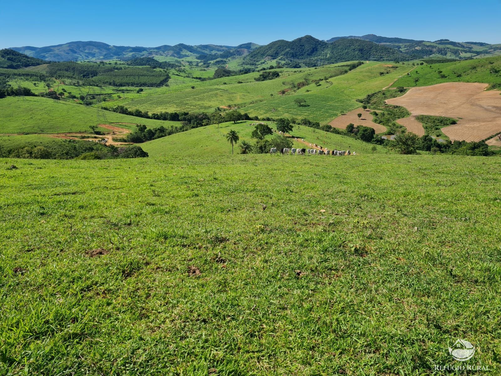 Fazenda, 822 hectares - Foto 35