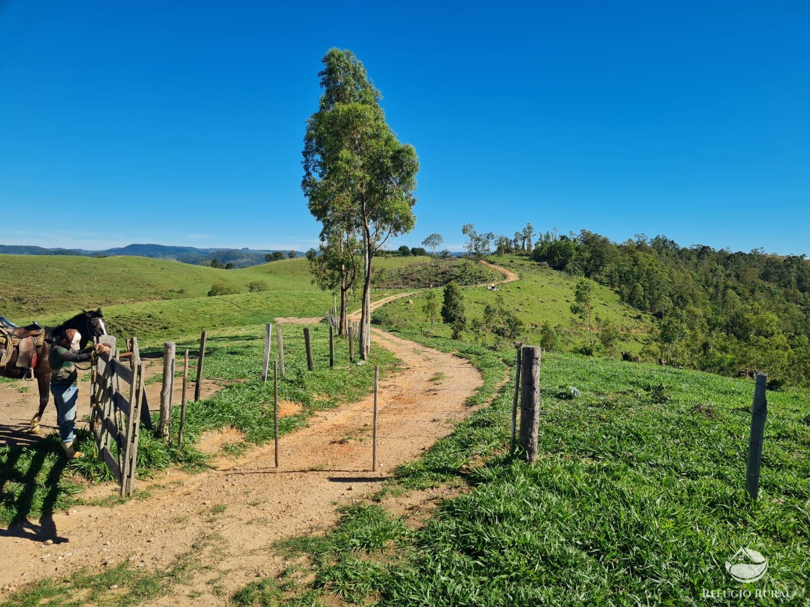 Fazenda, 822 hectares - Foto 20