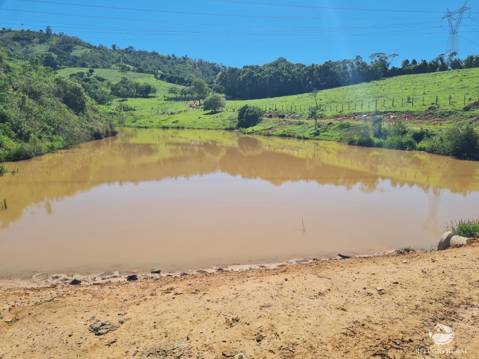 Fazenda, 822 hectares - Foto 30