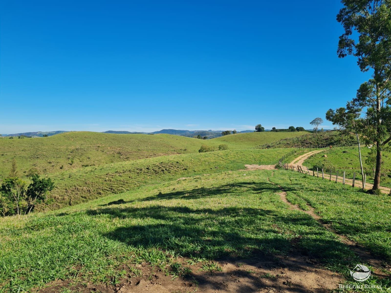 Fazenda, 822 hectares - Foto 1