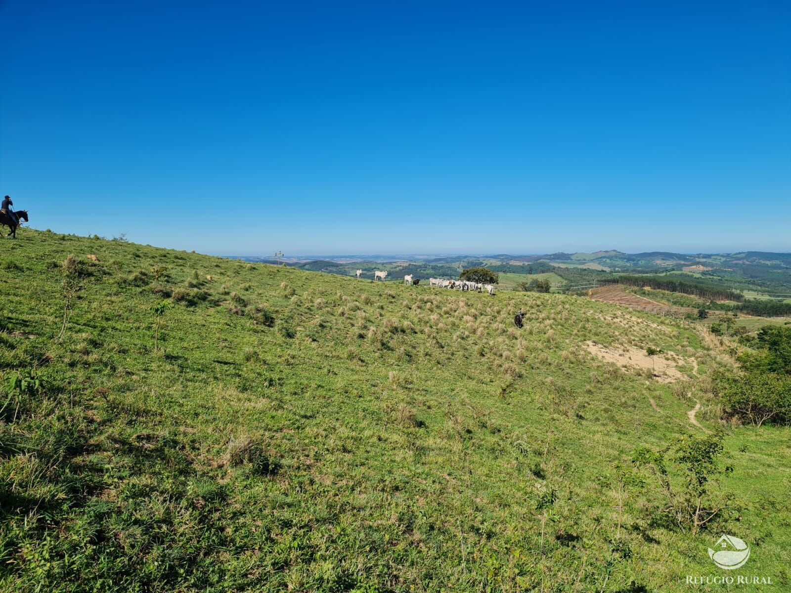 Fazenda, 822 hectares - Foto 18