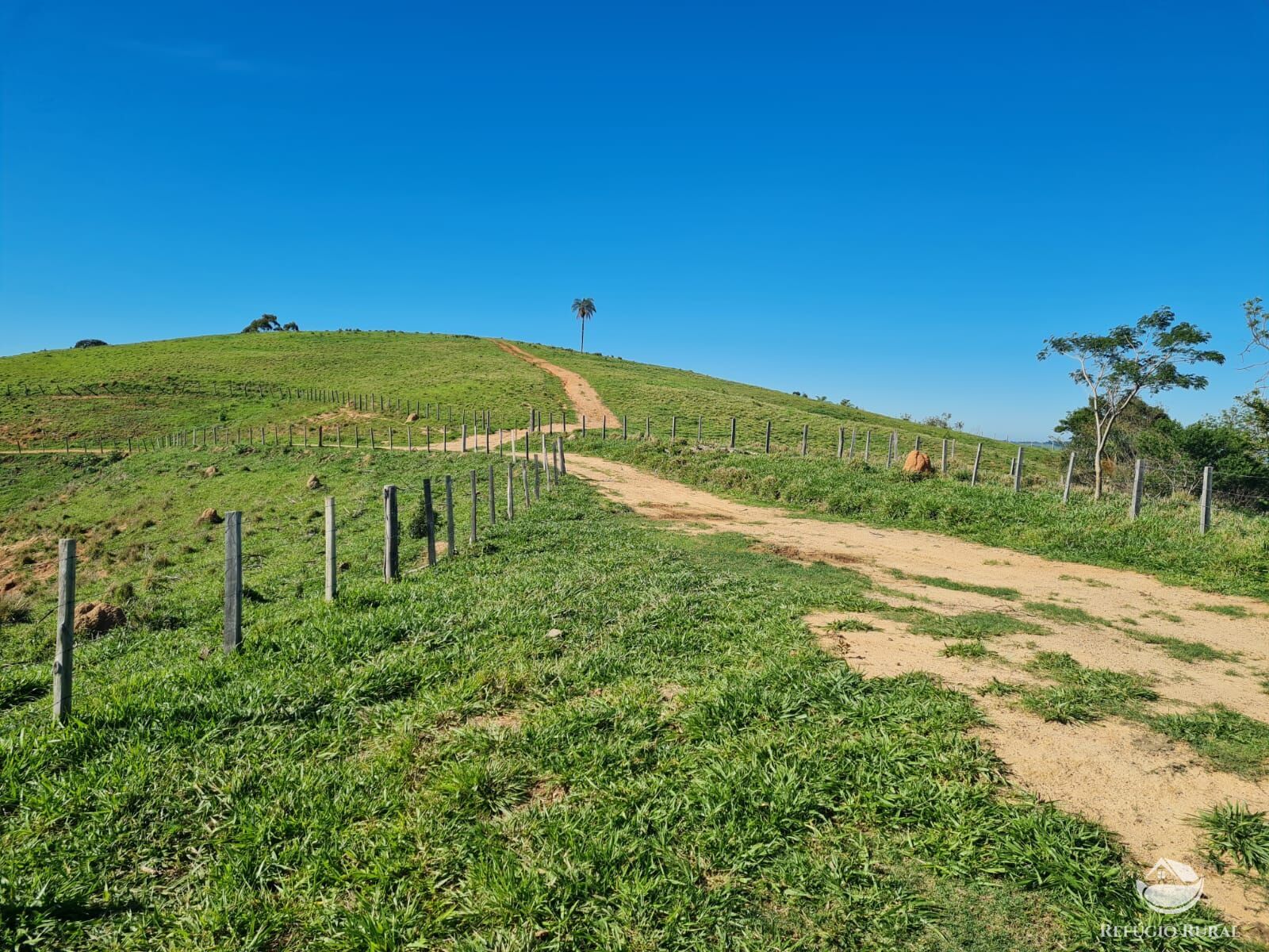 Fazenda, 822 hectares - Foto 12