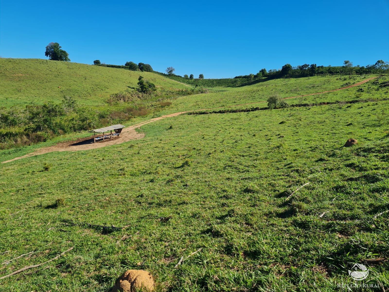 Fazenda, 822 hectares - Foto 19