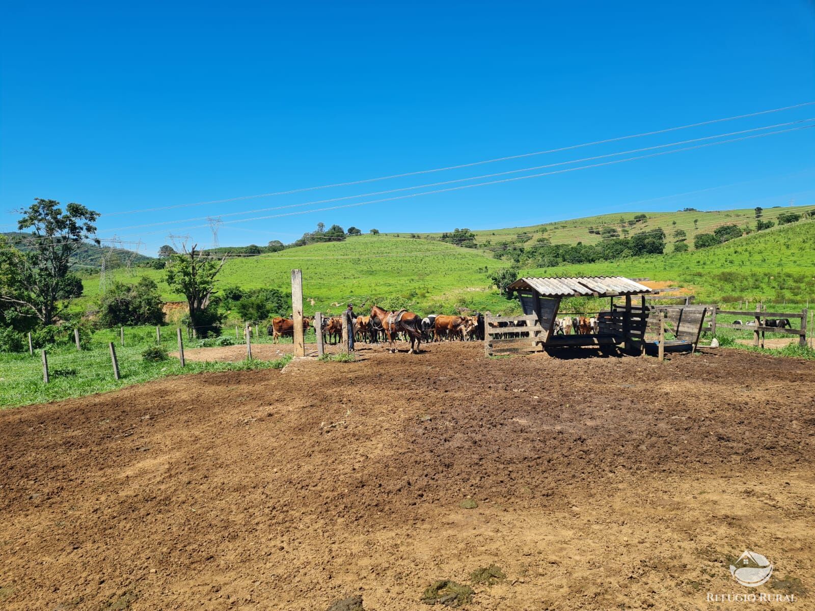 Fazenda, 822 hectares - Foto 37
