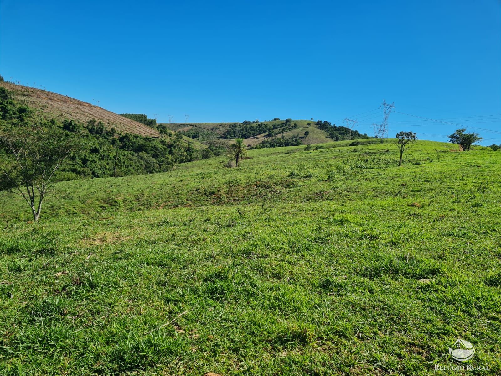 Fazenda, 822 hectares - Foto 38
