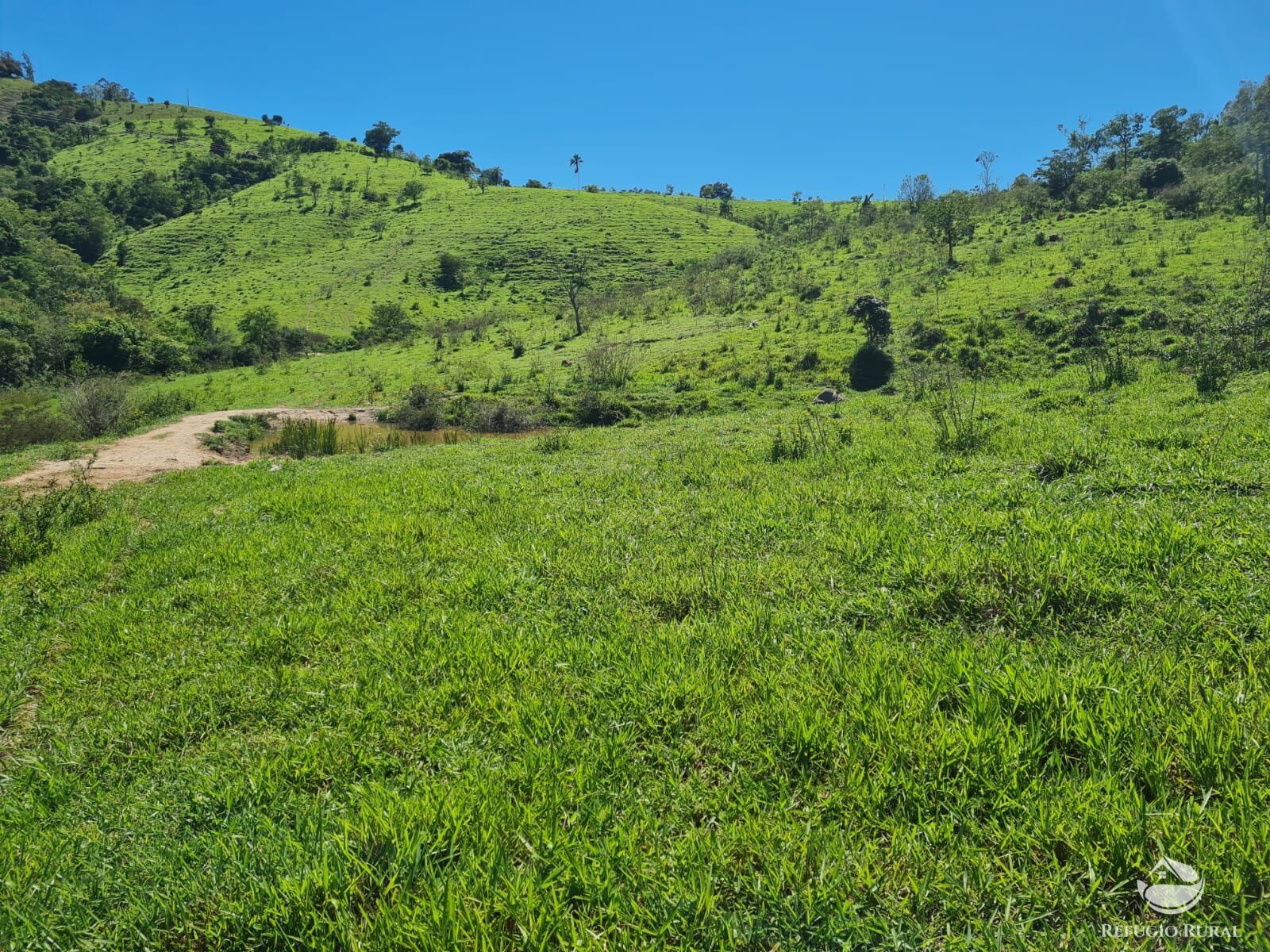 Fazenda, 822 hectares - Foto 34