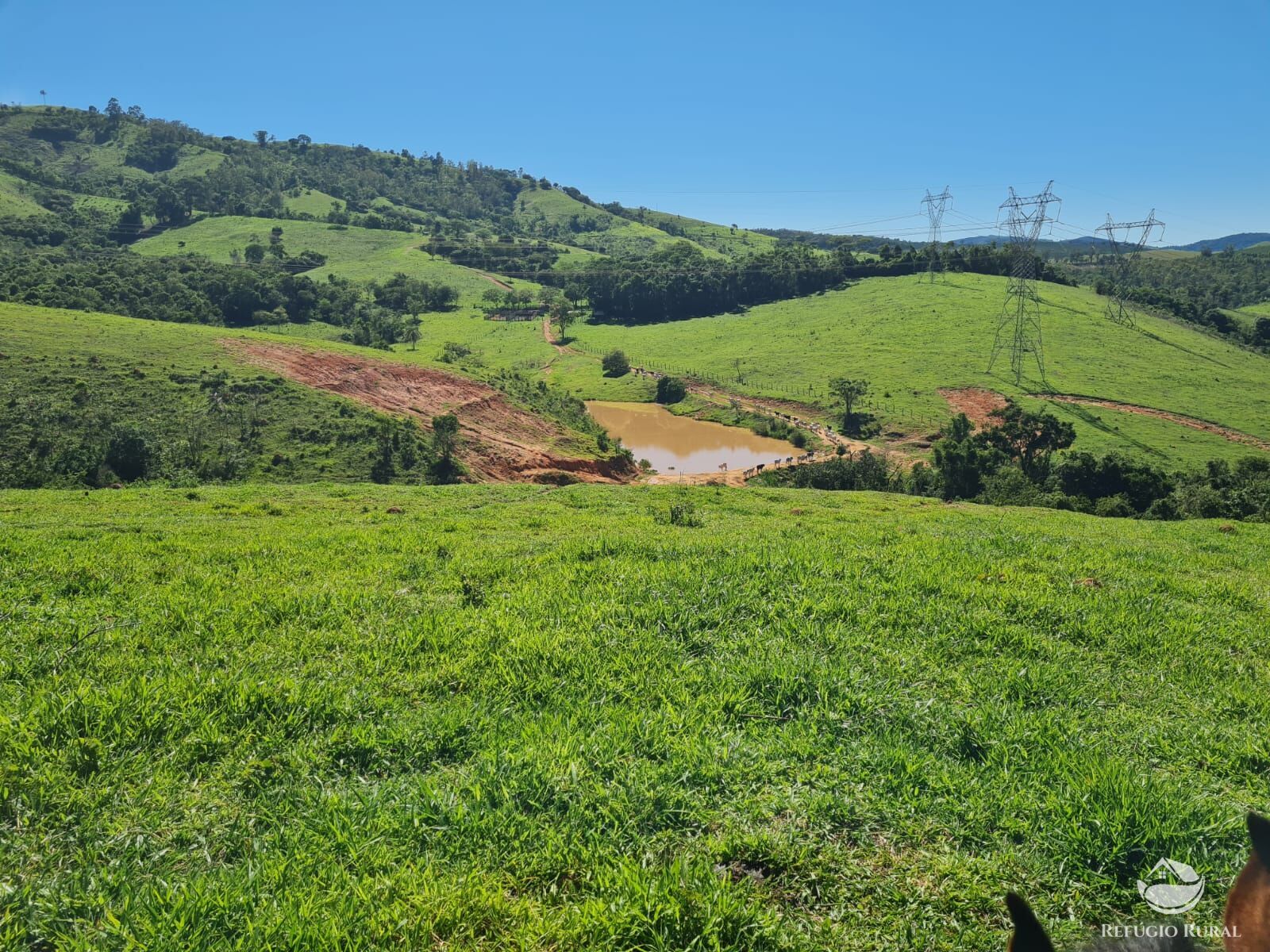 Fazenda, 822 hectares - Foto 27