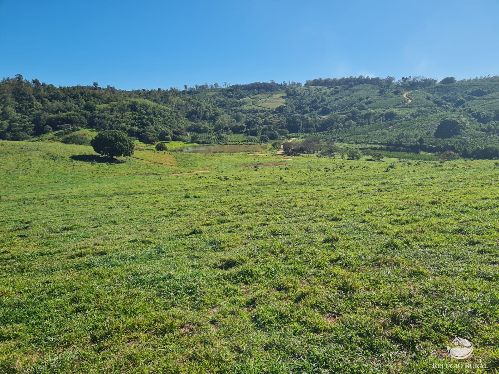 Fazenda, 822 hectares - Foto 10