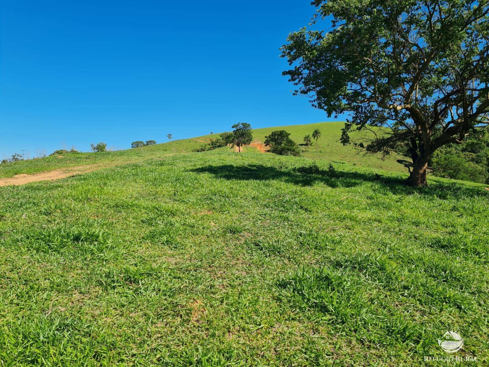 Fazenda, 822 hectares - Foto 39