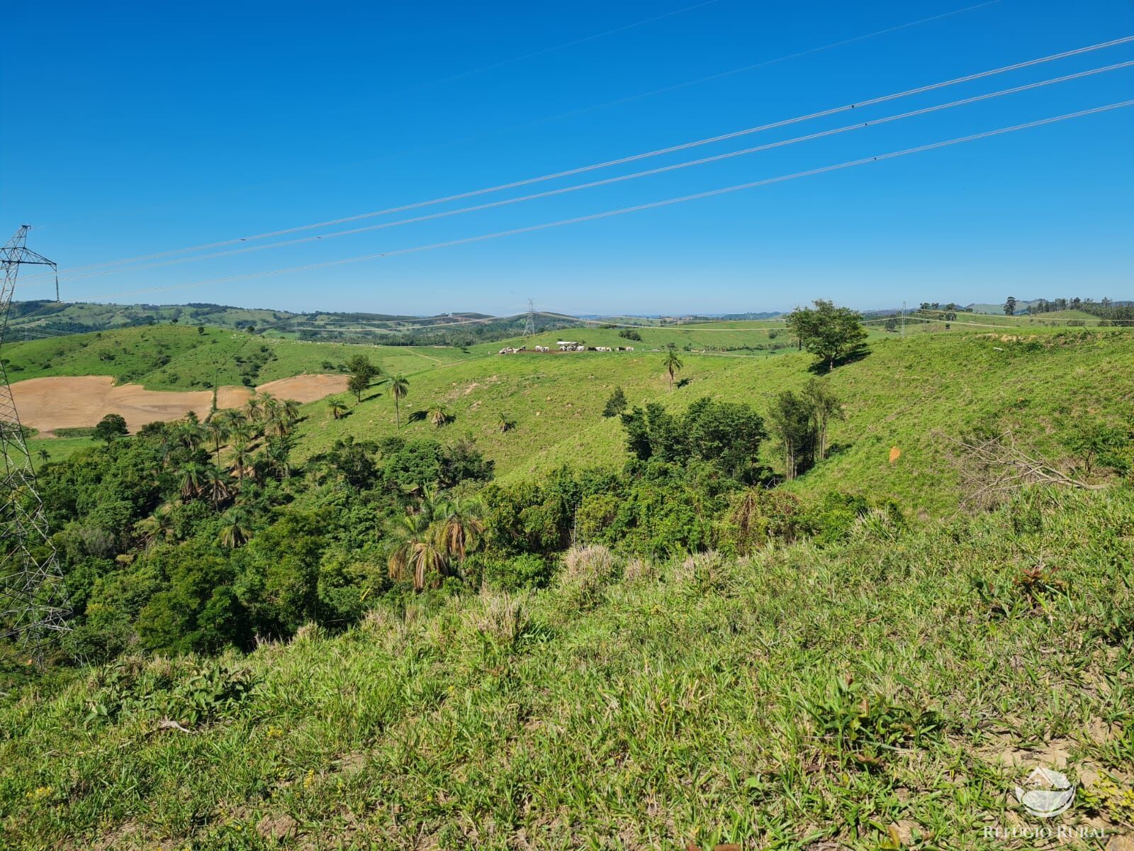 Fazenda, 822 hectares - Foto 21