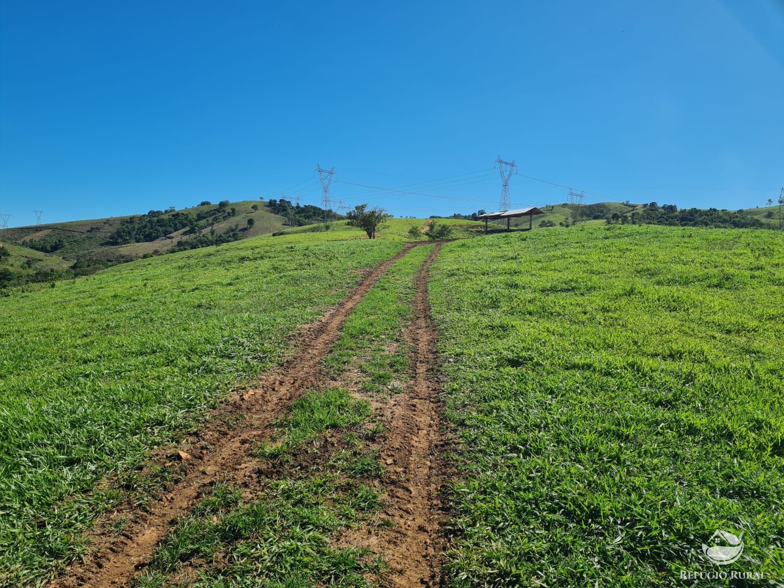 Fazenda, 822 hectares - Foto 26