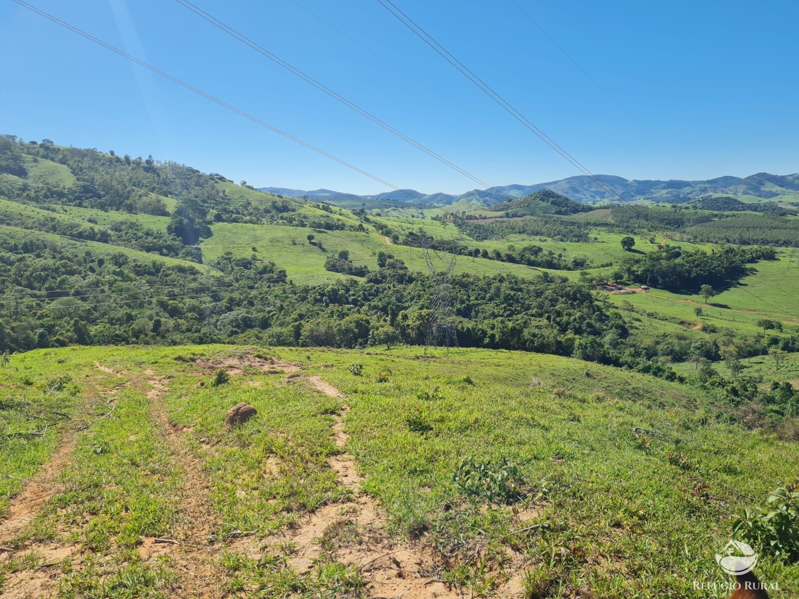 Fazenda, 822 hectares - Foto 22