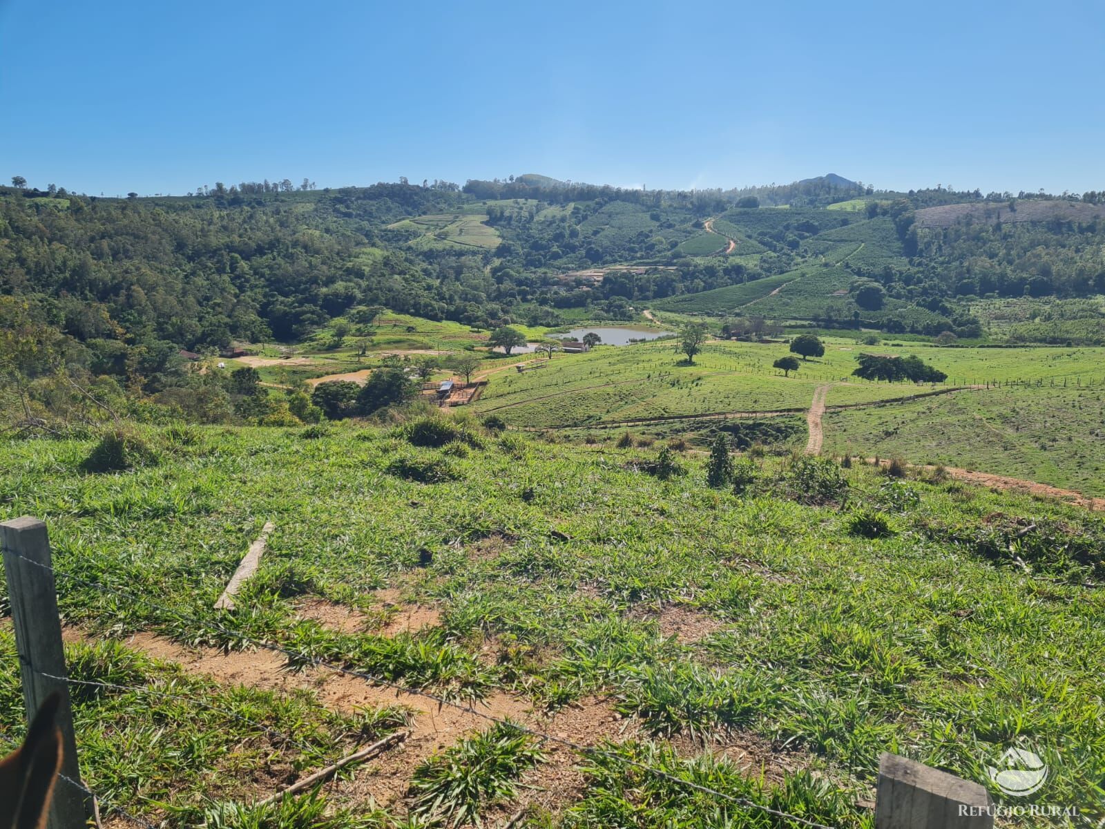 Fazenda, 822 hectares - Foto 16