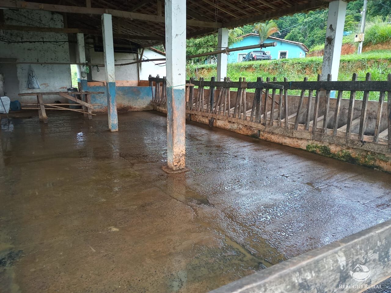 Fazenda à venda com 4 quartos, 370000m² - Foto 7