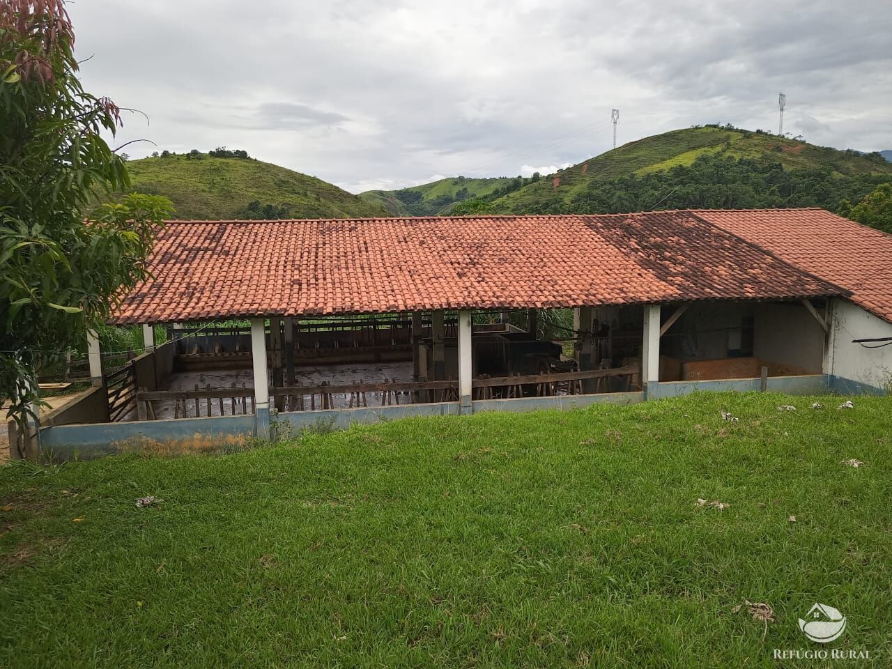 Fazenda à venda com 4 quartos, 370000m² - Foto 8