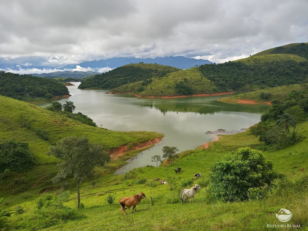 Fazenda à venda com 4 quartos, 370000m² - Foto 1