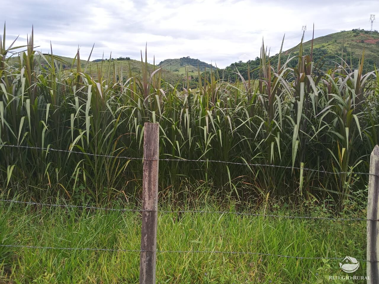 Fazenda à venda com 4 quartos, 370000m² - Foto 6
