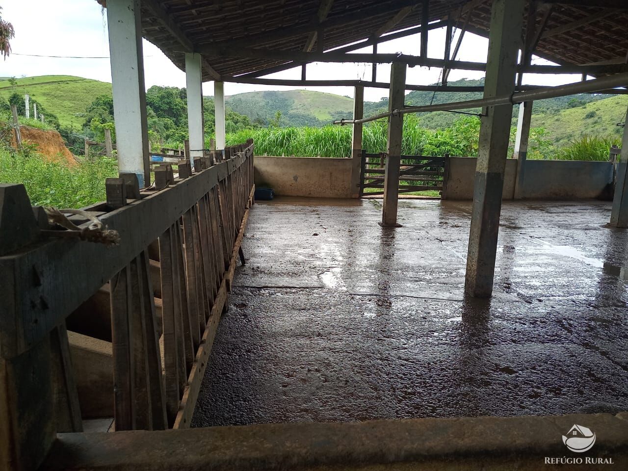 Fazenda à venda com 4 quartos, 370000m² - Foto 12