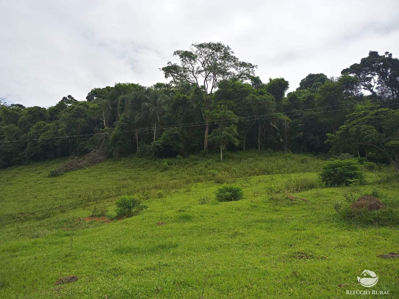 Fazenda à venda com 4 quartos, 370000m² - Foto 4
