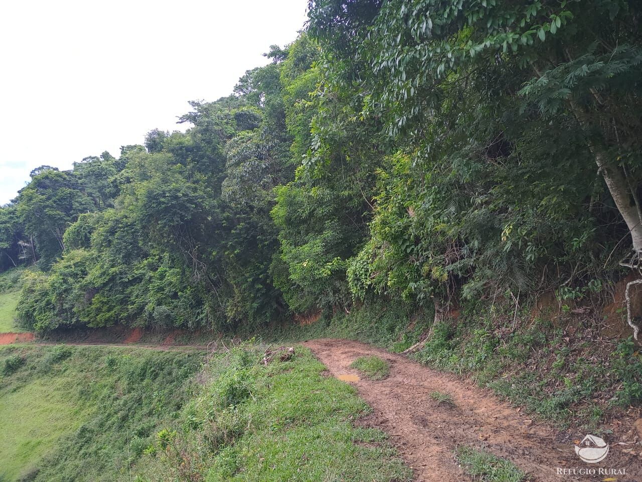 Fazenda à venda com 4 quartos, 370000m² - Foto 5