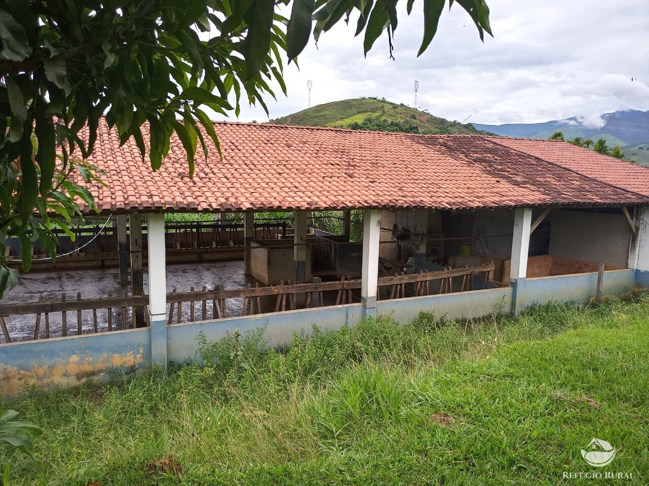 Fazenda à venda com 4 quartos, 370000m² - Foto 11