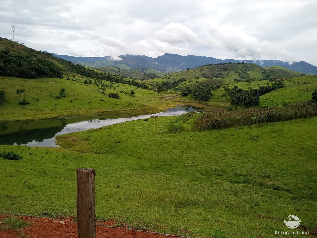 Fazenda à venda com 4 quartos, 370000m² - Foto 3