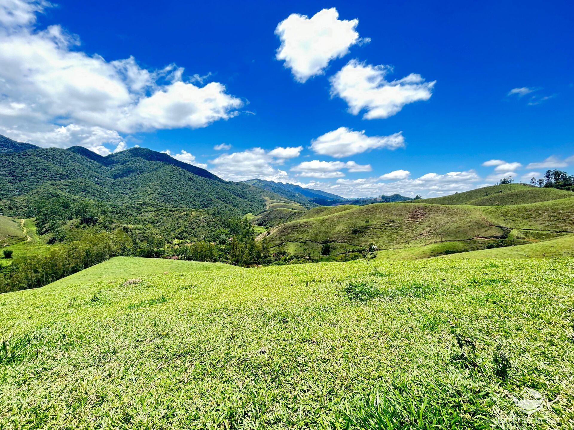 Terreno à venda, 20000m² - Foto 4