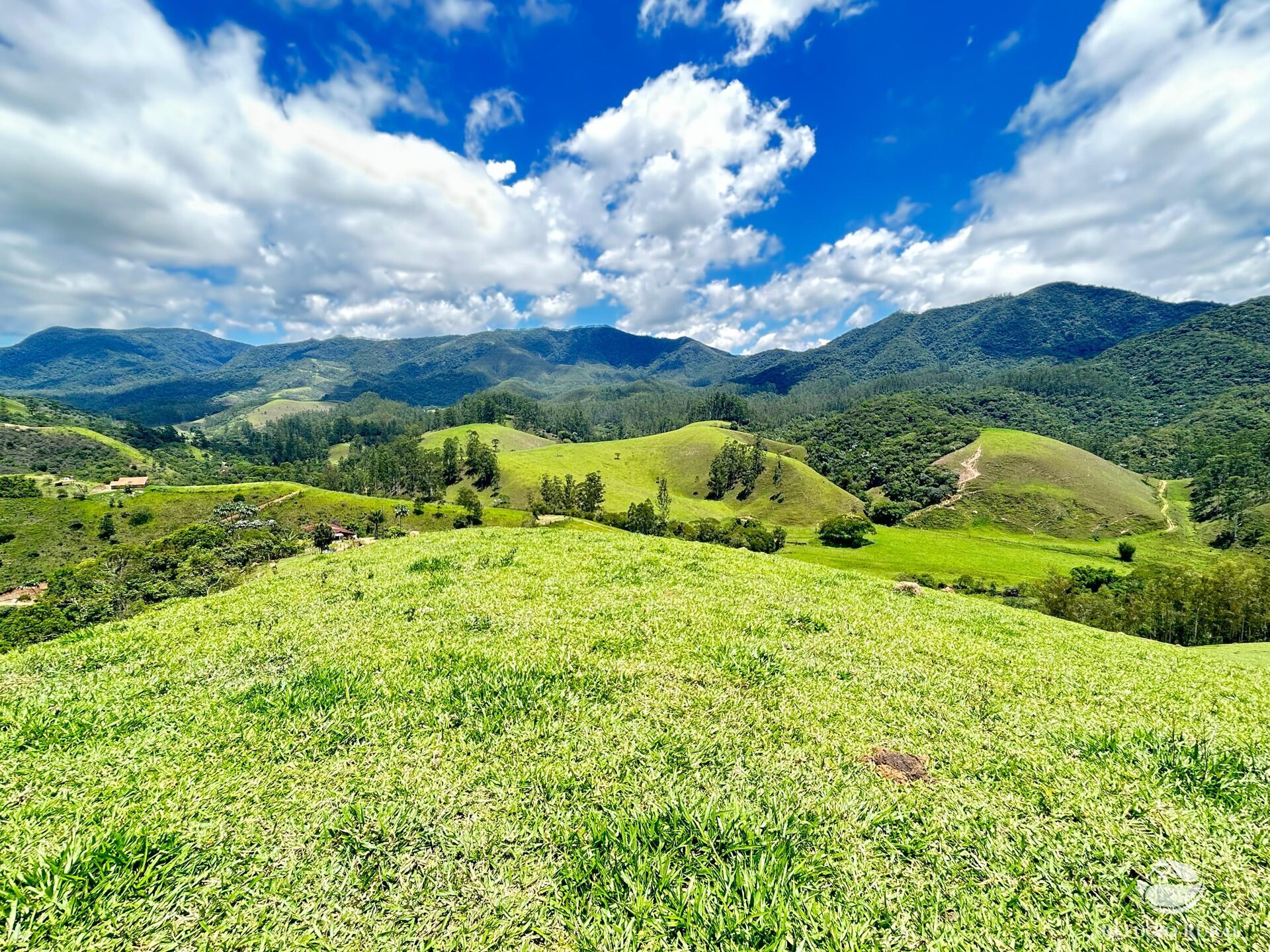 Terreno à venda, 20000m² - Foto 3