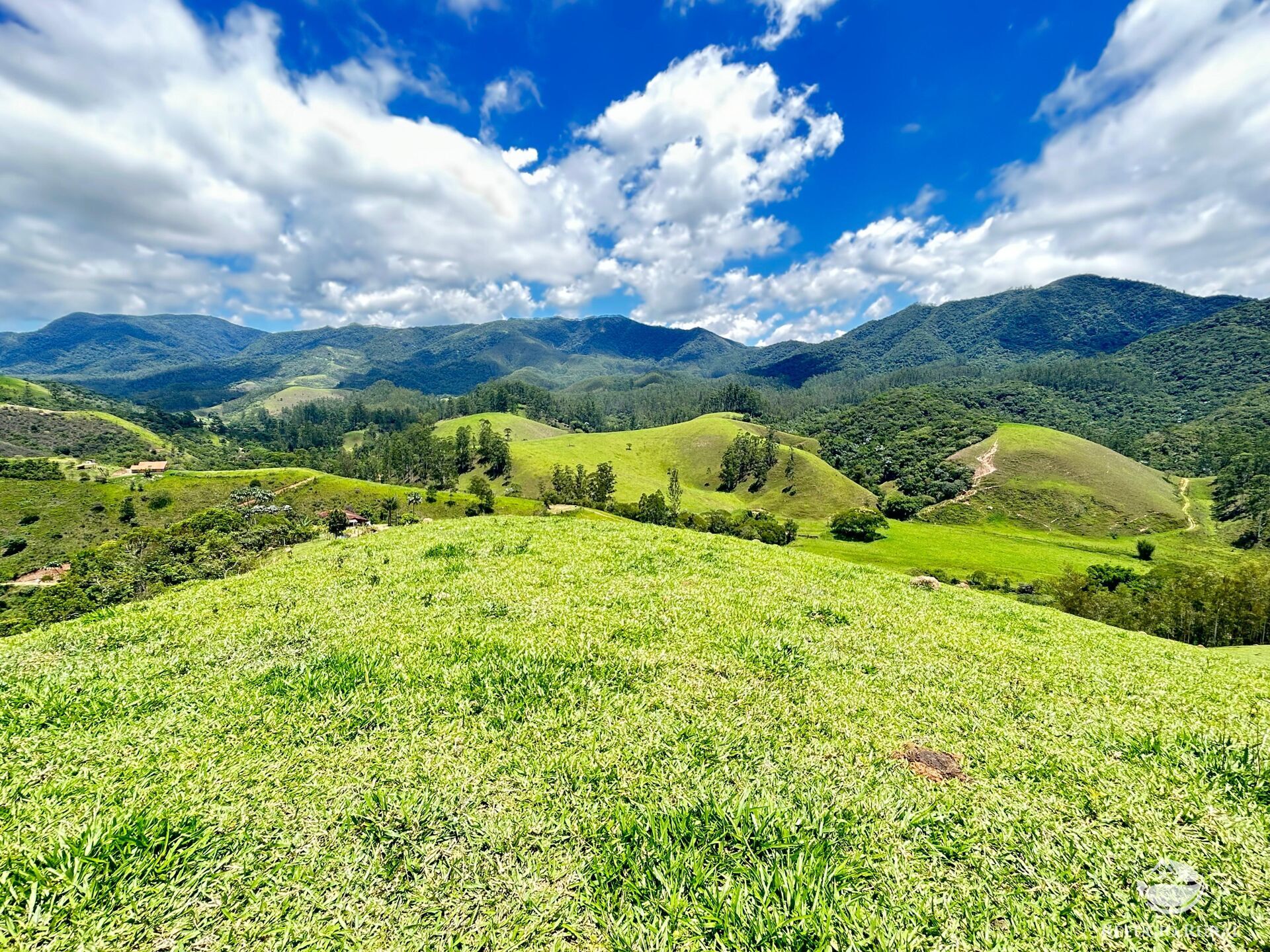 Terreno à venda, 20000m² - Foto 2