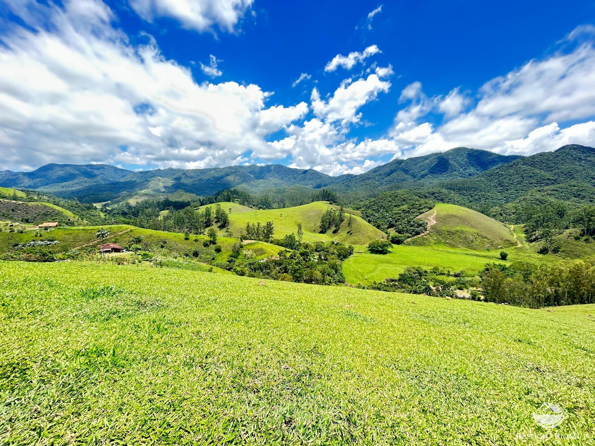 Terreno à venda, 20000m² - Foto 7