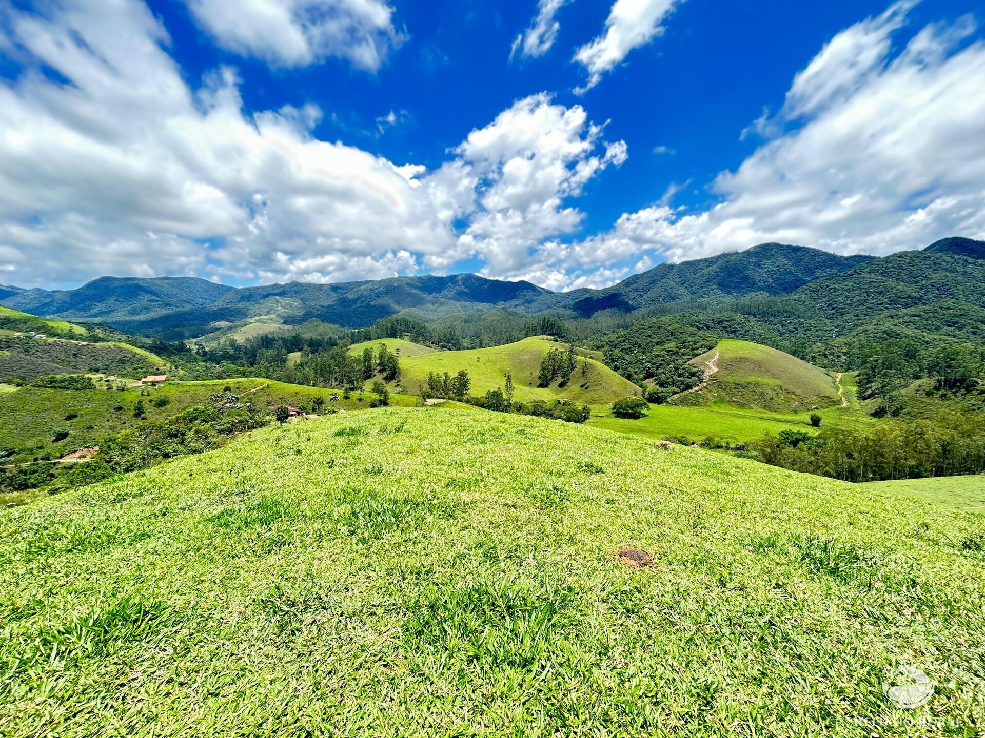 Terreno à venda, 20000m² - Foto 6