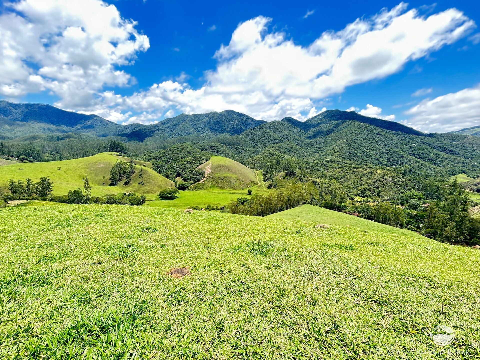 Terreno à venda, 20000m² - Foto 1