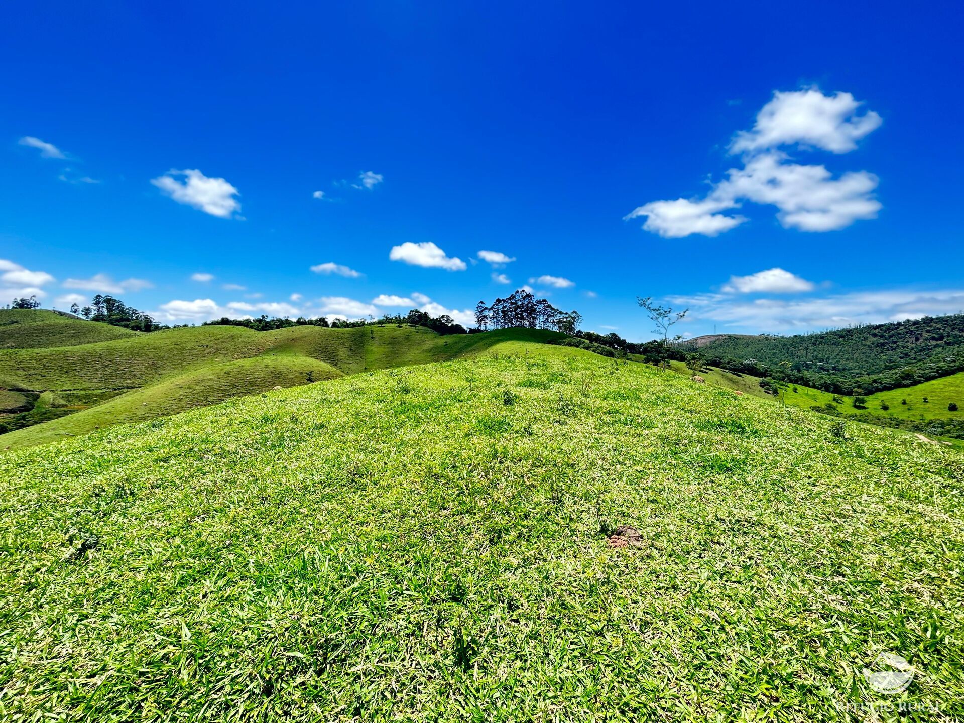 Terreno à venda, 20000m² - Foto 5