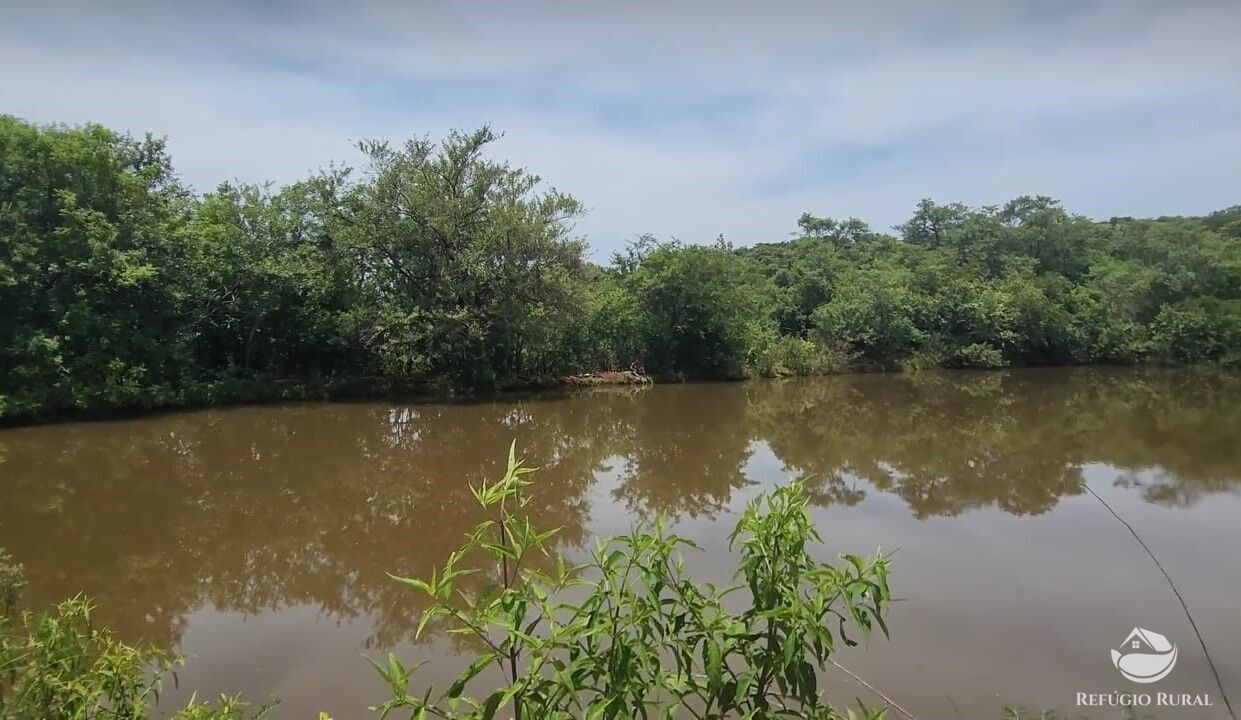 Fazenda à venda com 3 quartos, 10000m² - Foto 6