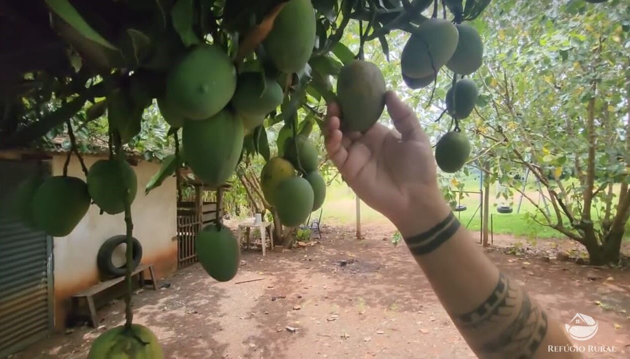 Fazenda à venda com 3 quartos, 10000m² - Foto 24