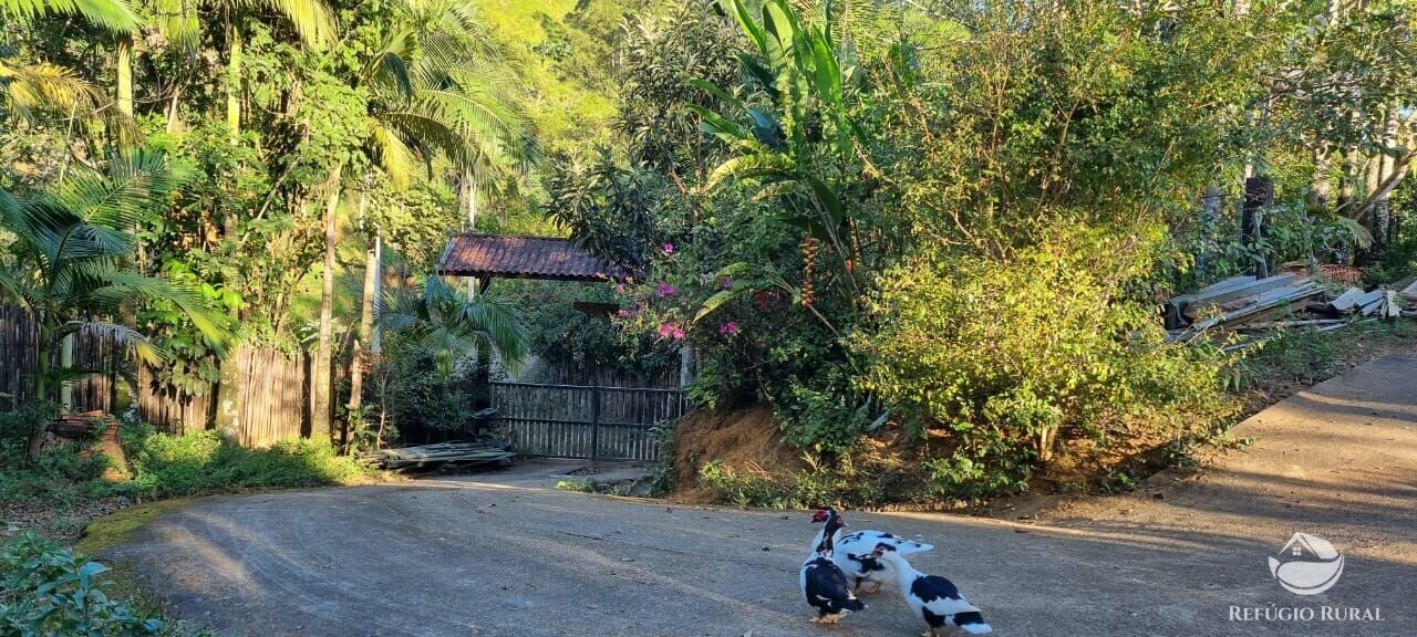 Fazenda à venda com 2 quartos, 217800m² - Foto 52