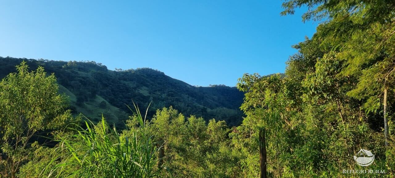 Fazenda à venda com 2 quartos, 217800m² - Foto 10