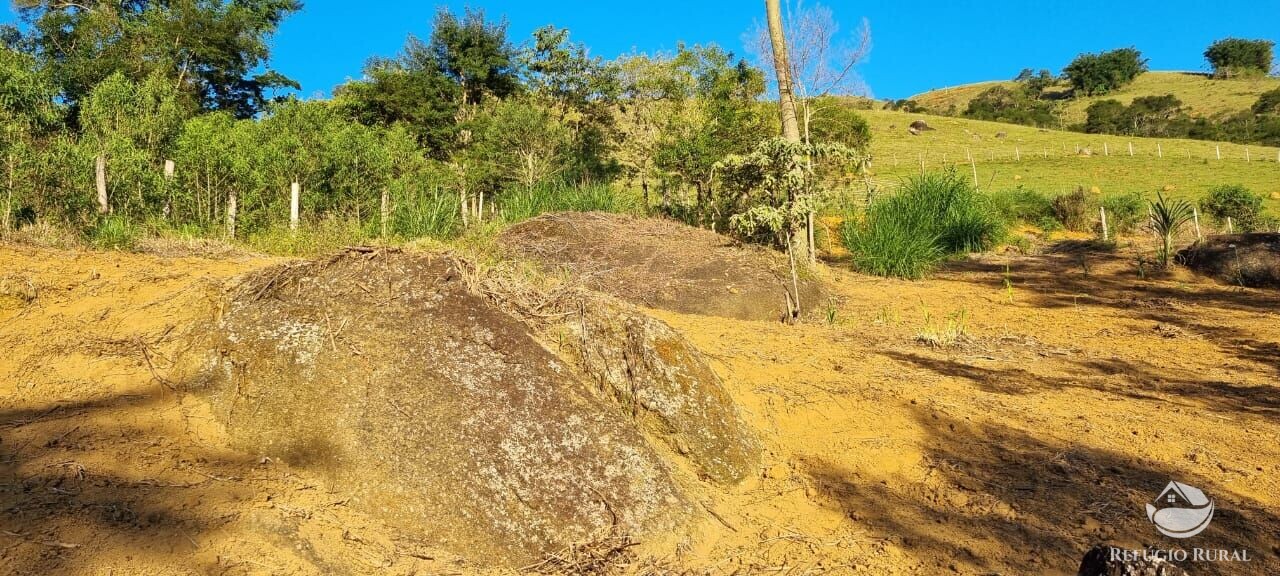 Fazenda à venda com 2 quartos, 217800m² - Foto 18