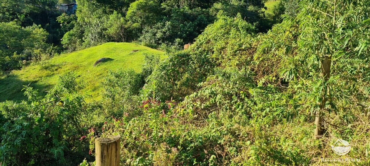 Fazenda à venda com 2 quartos, 217800m² - Foto 26