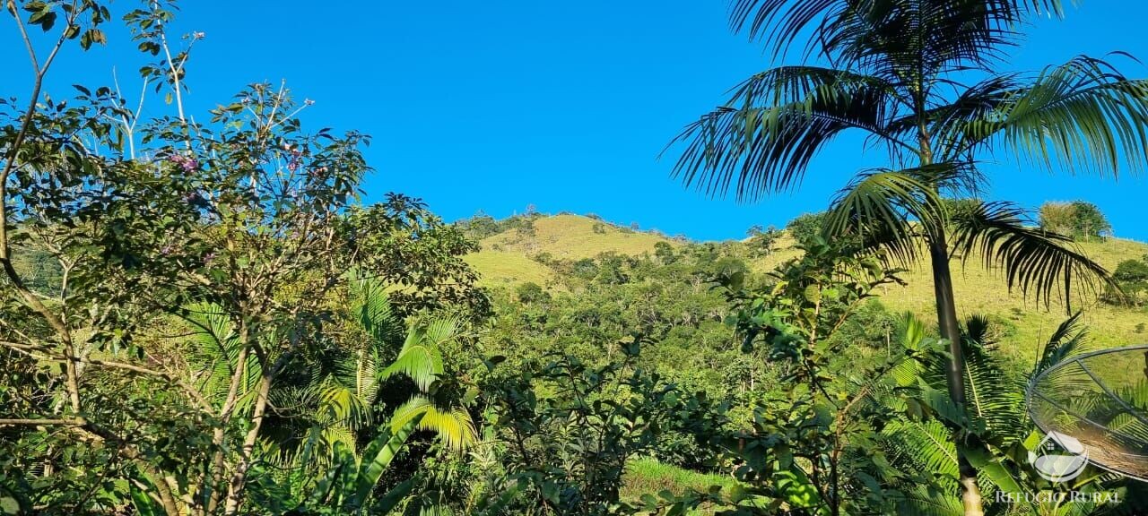 Fazenda à venda com 2 quartos, 217800m² - Foto 51