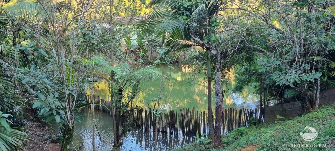 Fazenda à venda com 2 quartos, 217800m² - Foto 38