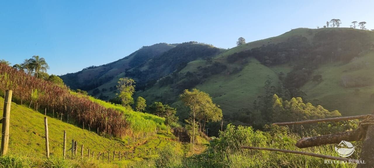 Fazenda à venda com 2 quartos, 217800m² - Foto 6