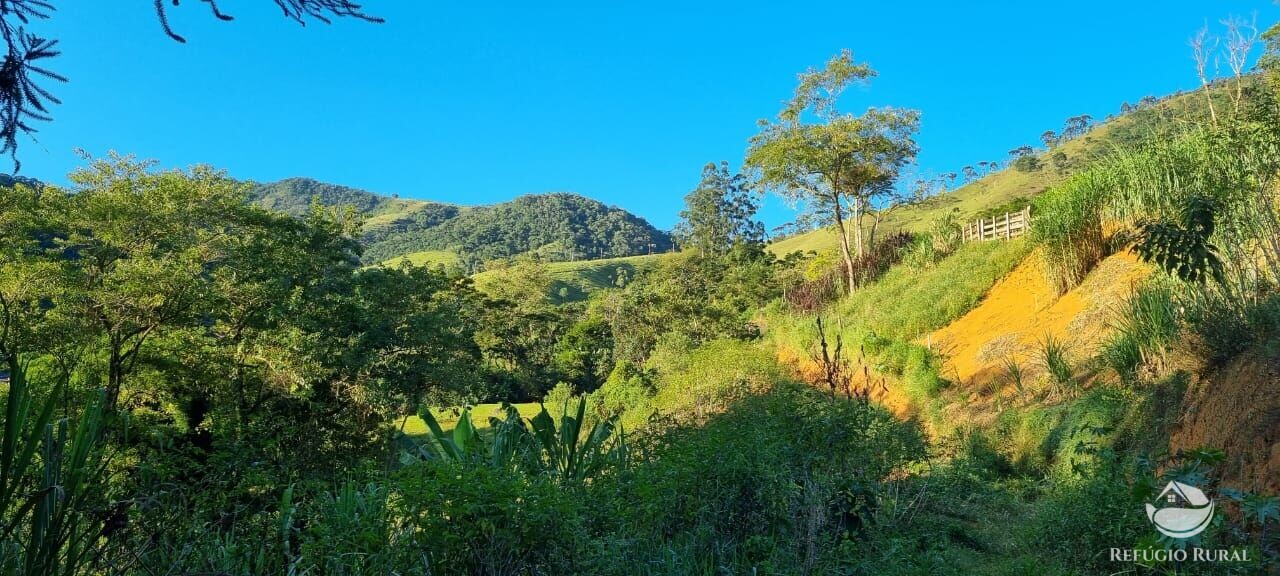 Fazenda à venda com 2 quartos, 217800m² - Foto 34