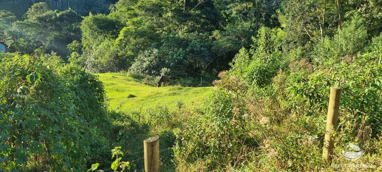 Fazenda à venda com 2 quartos, 217800m² - Foto 27