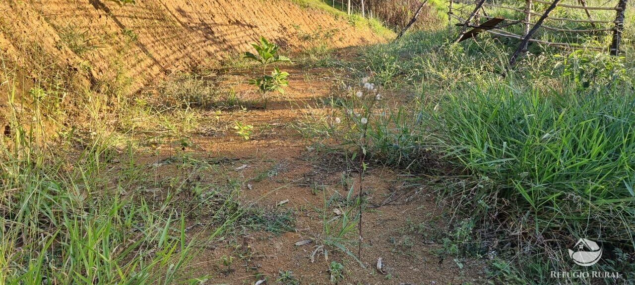 Fazenda à venda com 2 quartos, 217800m² - Foto 8