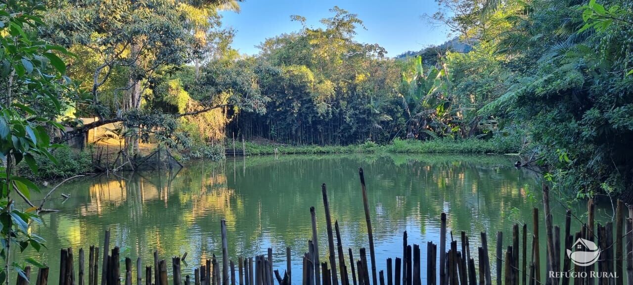 Fazenda à venda com 2 quartos, 217800m² - Foto 37